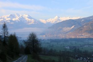 Maishofen im Pinzgau war am 16. und 17. April 2016 der Mittelpunkt der österreichischen Fleischrinderzucht. (Foto: Sendlhofer)