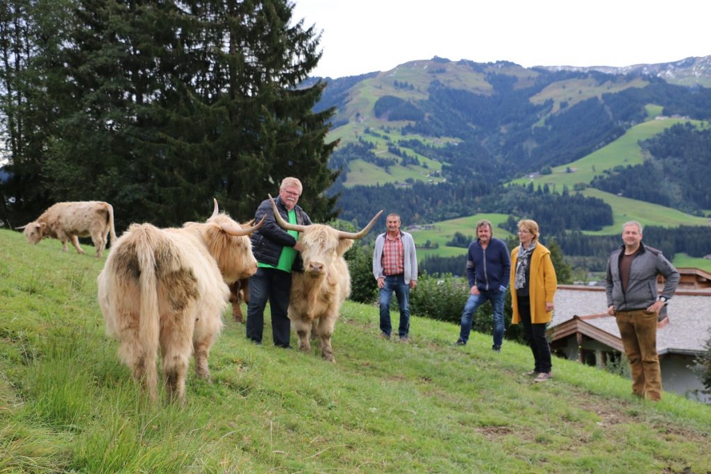 Schottische Hochlandrinder tagen in Tirol