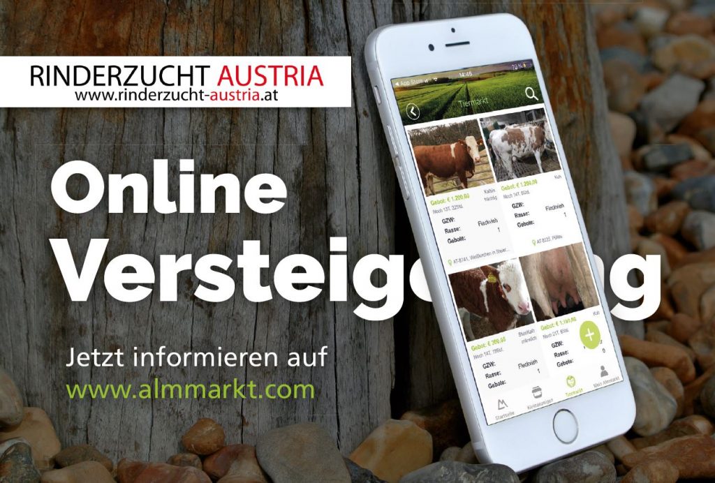 Kuh4You: Jetzt österreichweit online versteigern