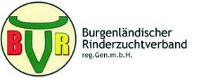 Logo2-burgenlaendische-rzv.jpg